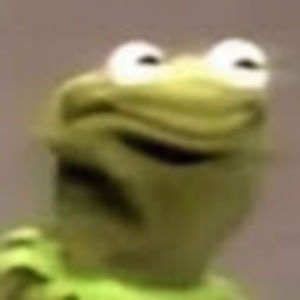 Meet your Posher, Frog